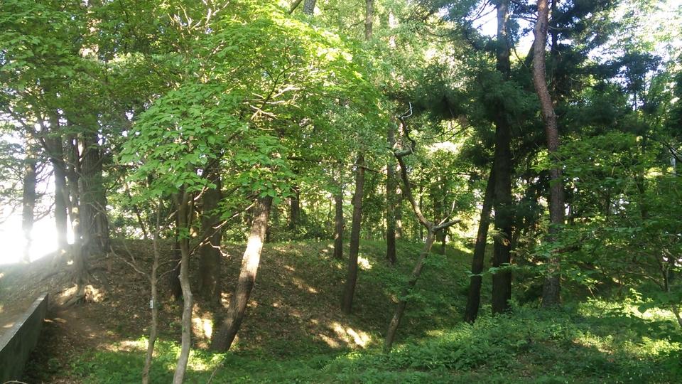 戸張城