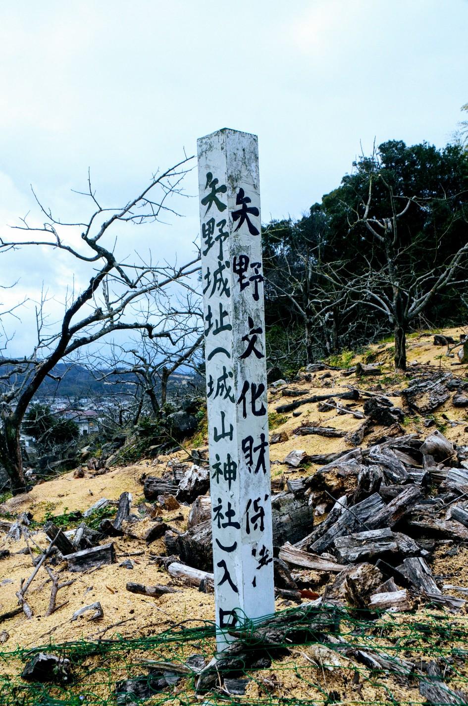 矢野城