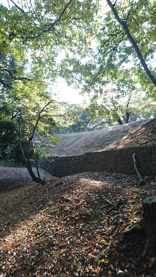 小田野城