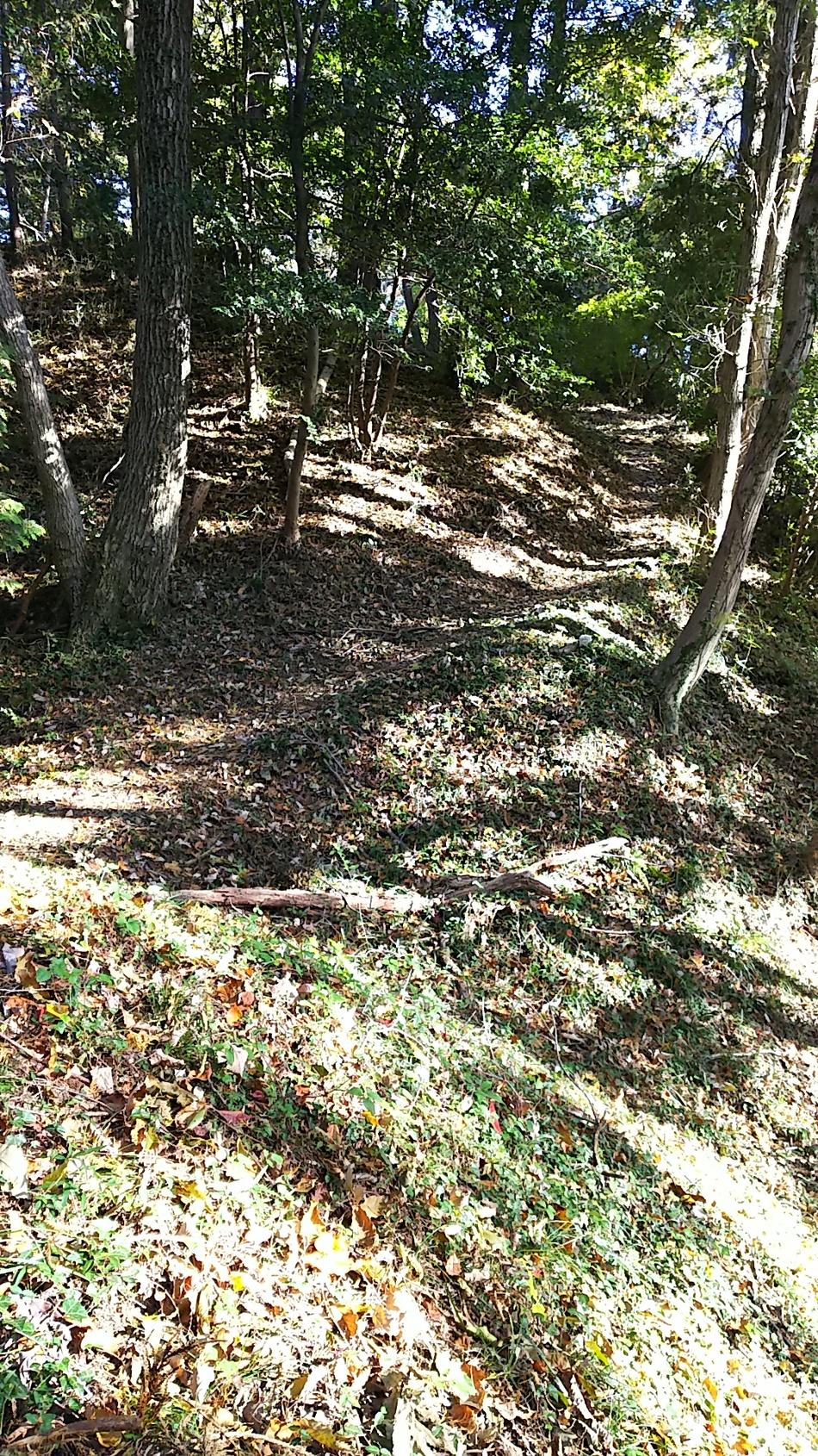 高見城