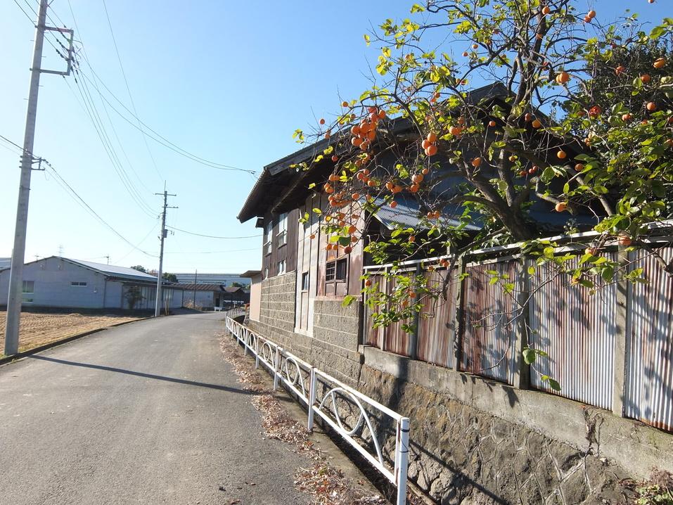 椿田城