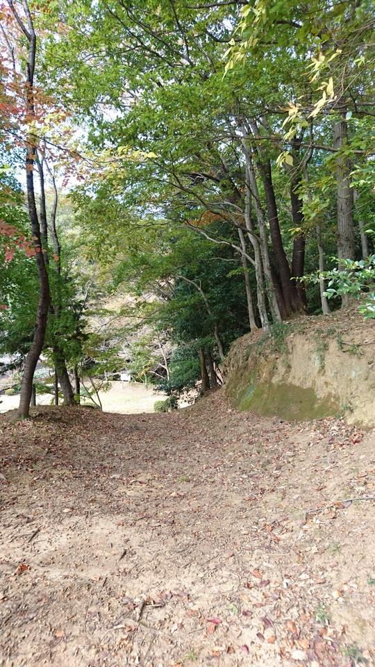 由木城