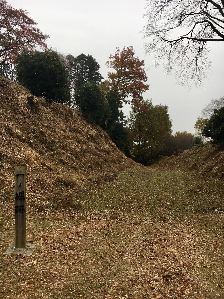 川崎城