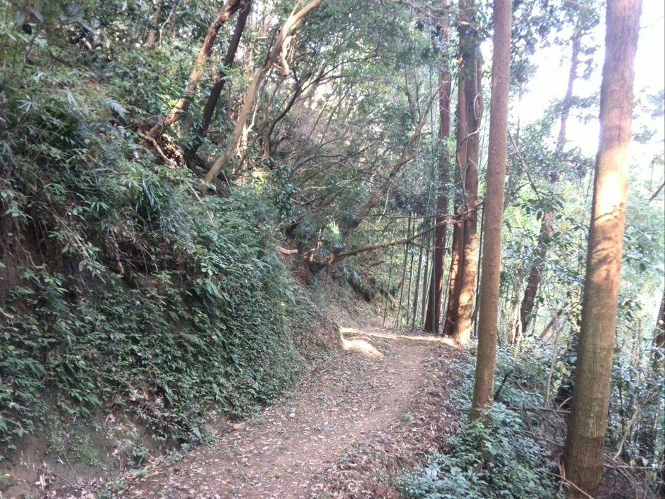 宮崎城