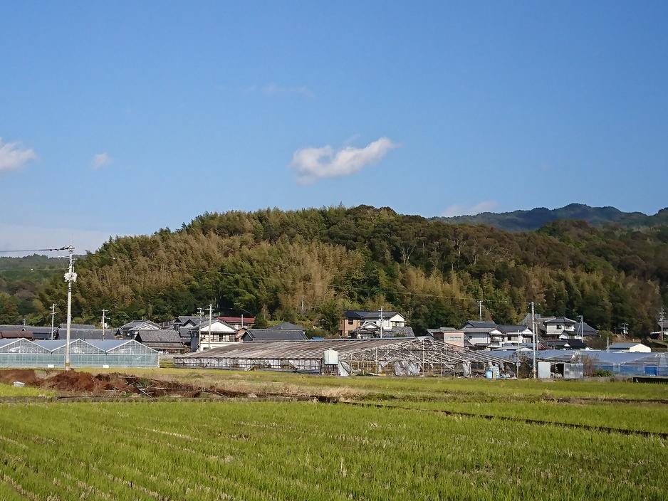 安田城