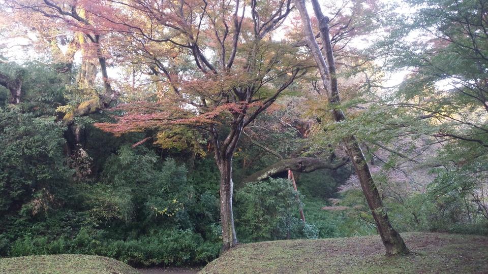 佐倉城