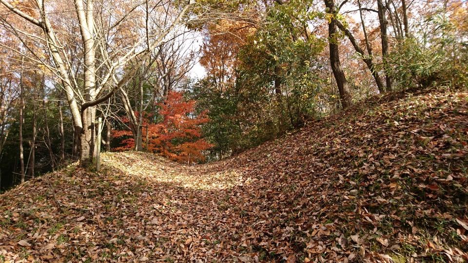 茶臼山城