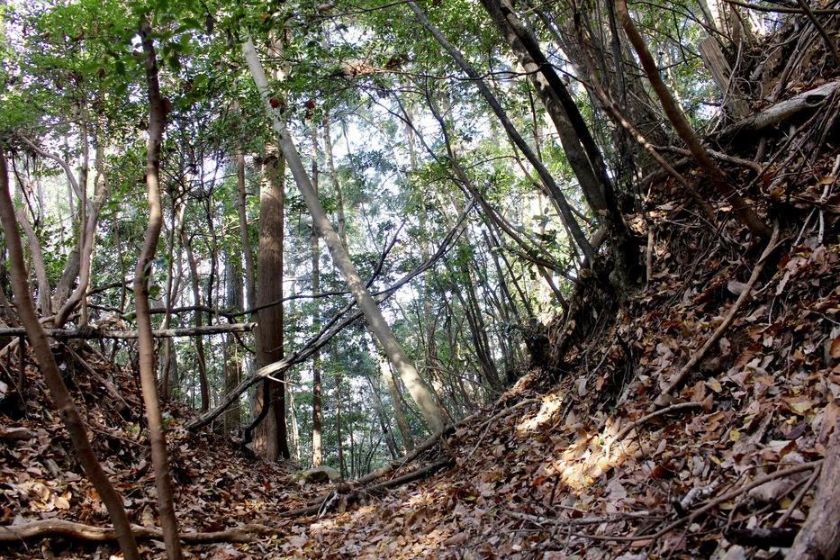鶴首城