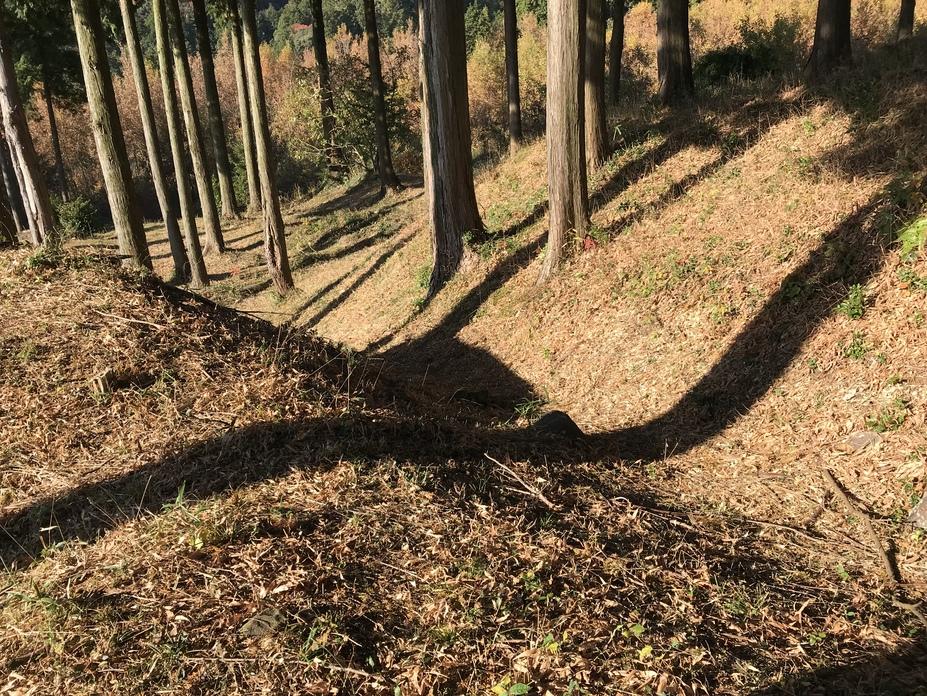 隈部館