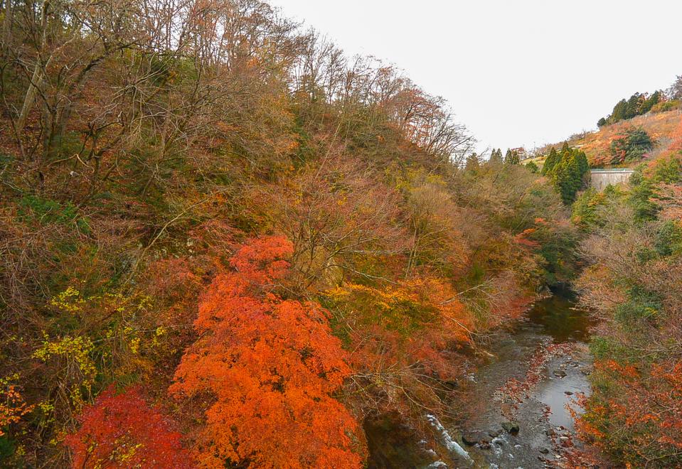 奥牧野城
