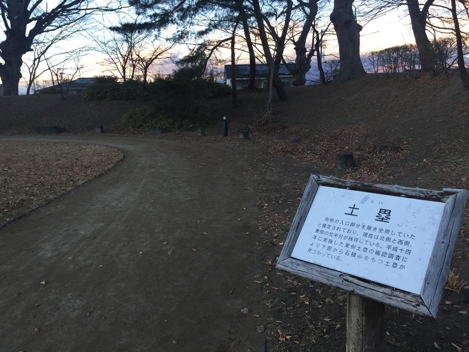 伴野城