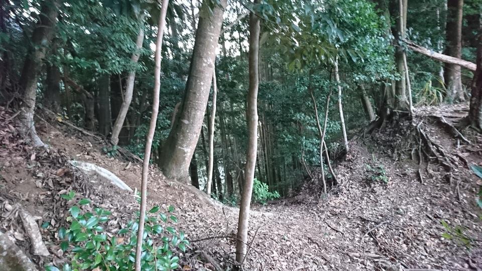 用来城