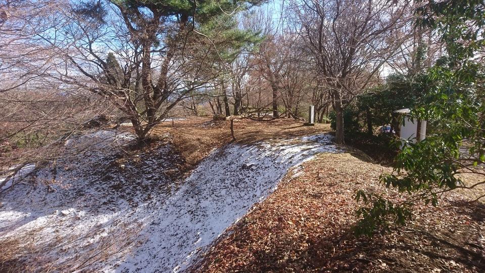 山野城