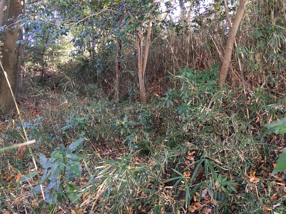 河和田城