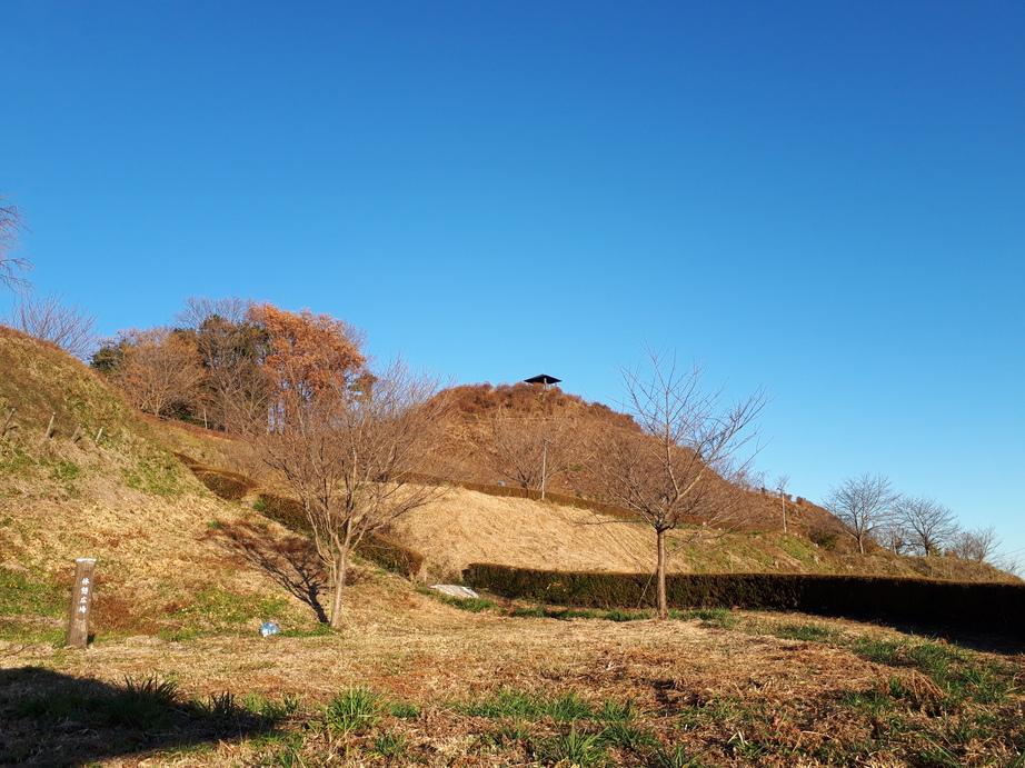 皆川城