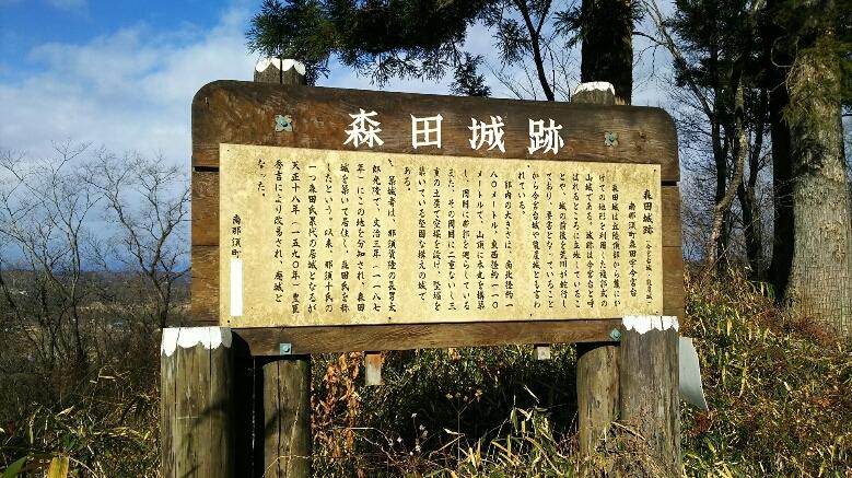 森田城
