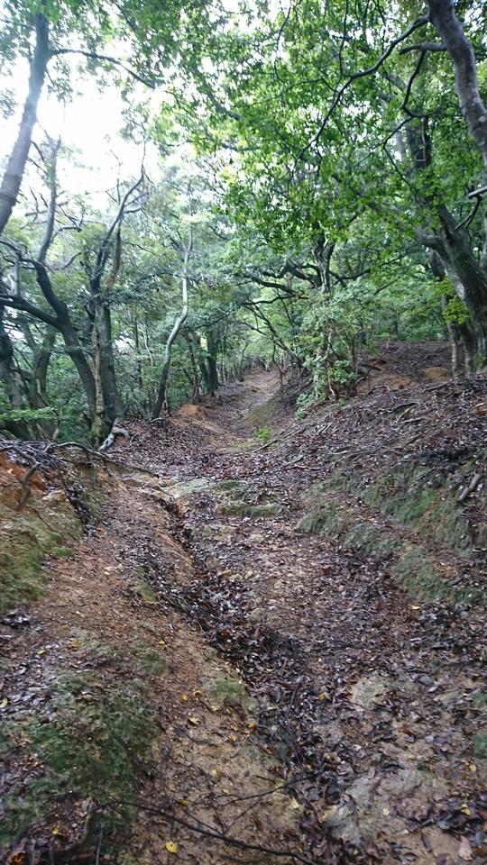 後瀬山城