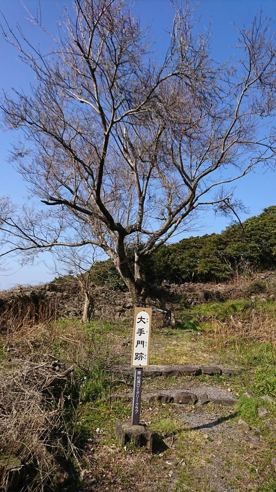 梶谷城
