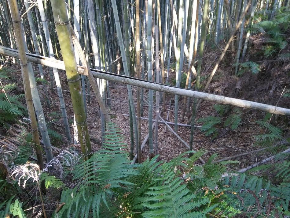 上桜城