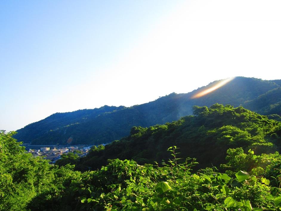 丸子山城
