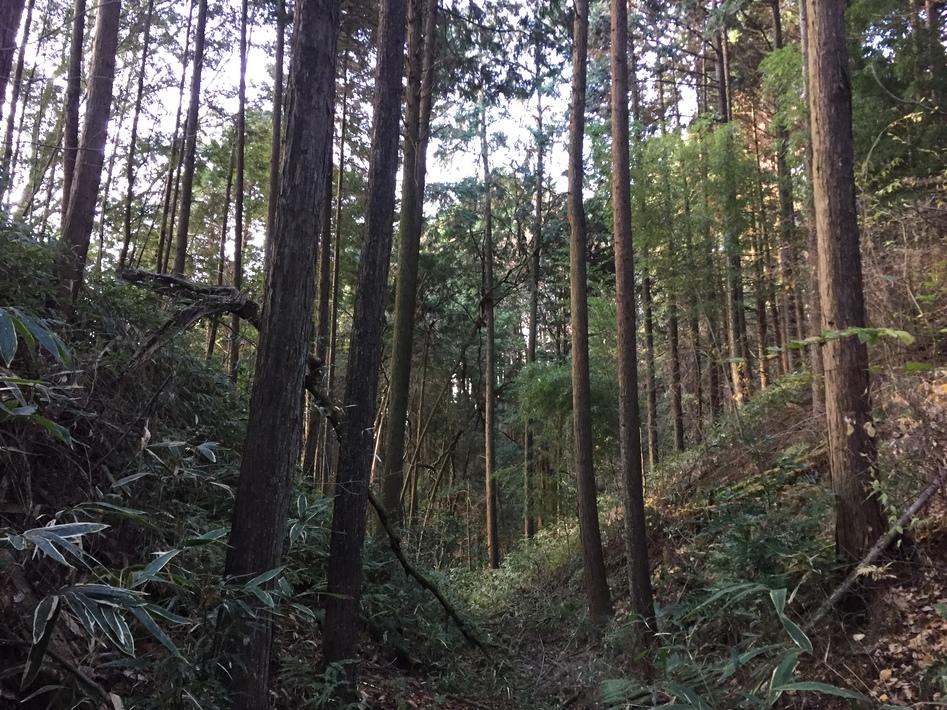 岩掛城