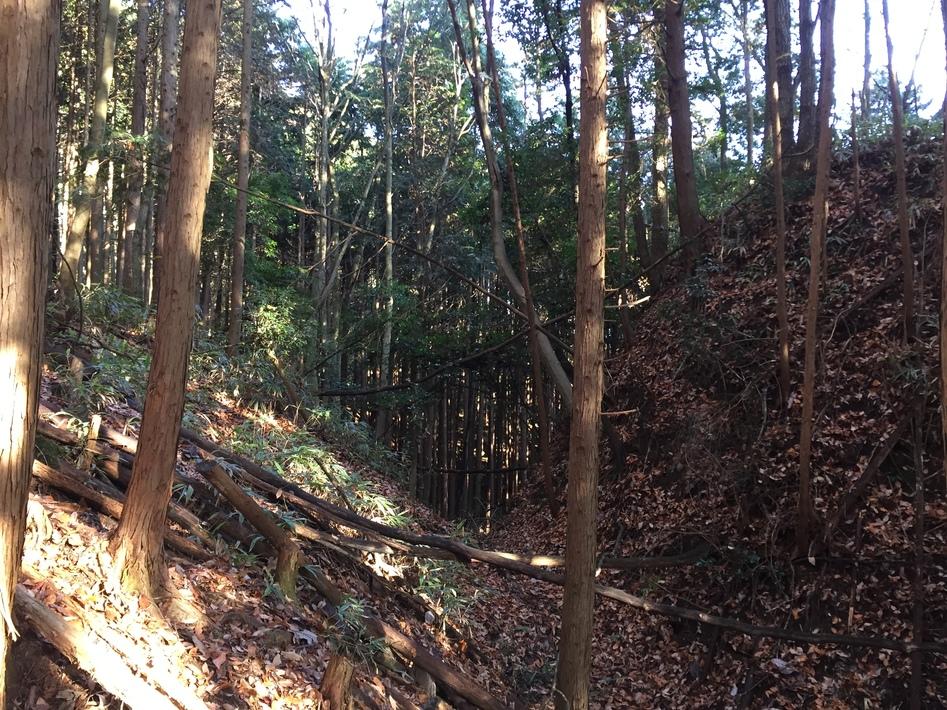 岩掛城