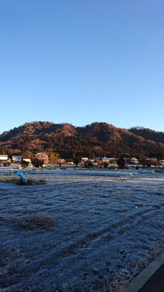 津久井城