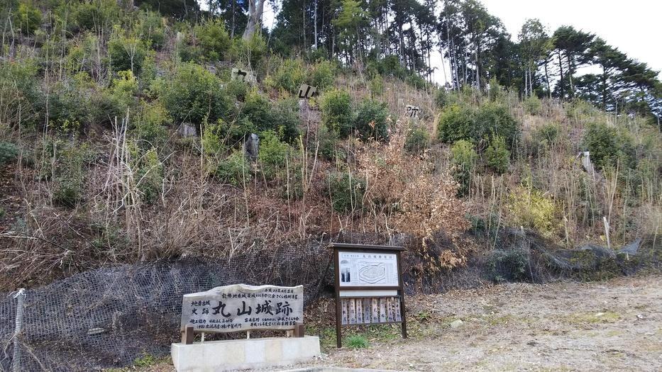 丸山城