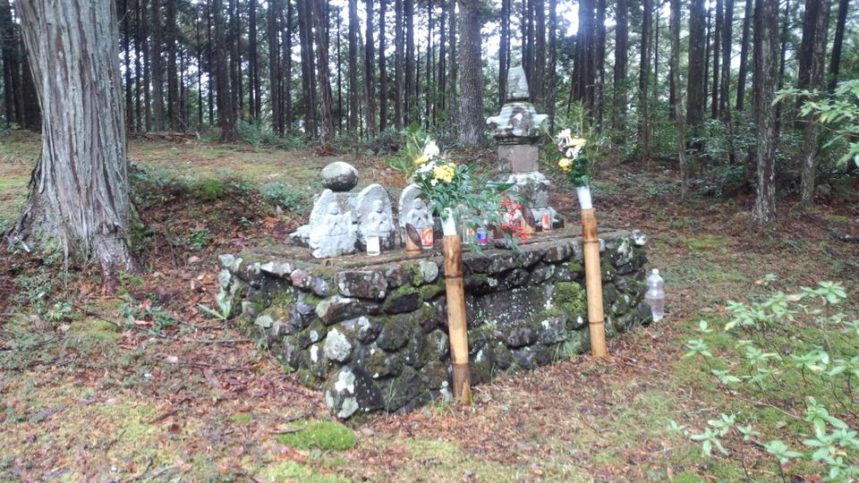 阿瀬川城