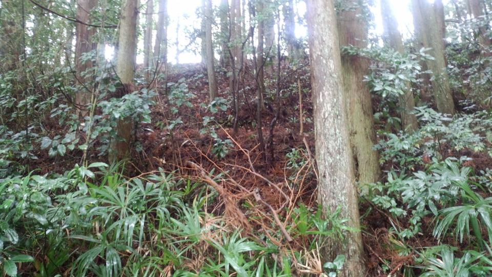 阿瀬川城
