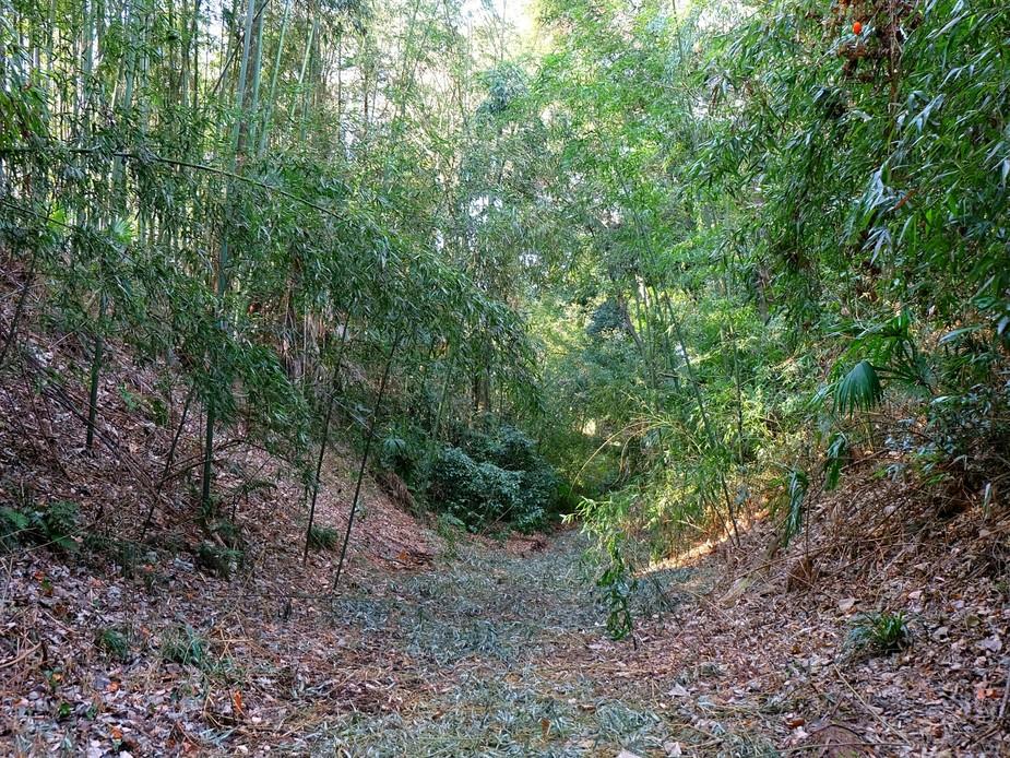 鷲城