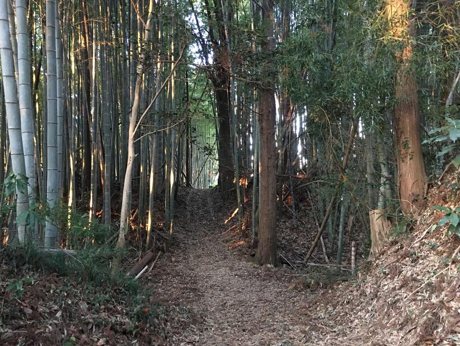 徳宿城