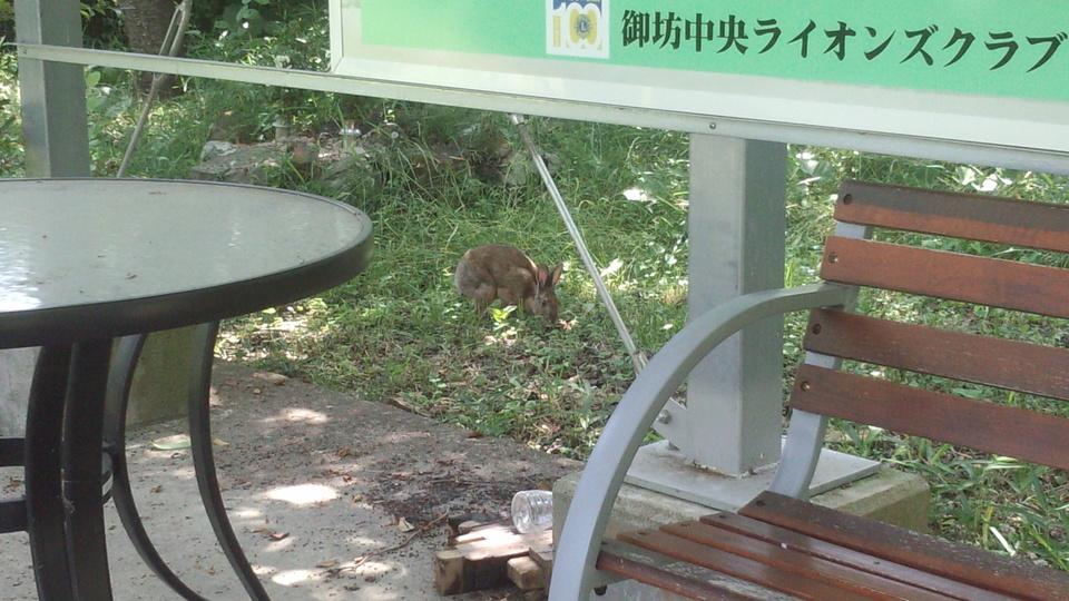亀山城