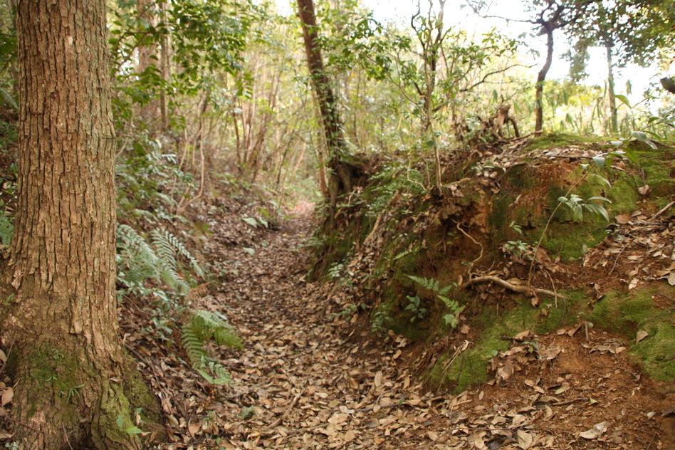 船岡山城