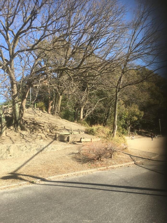 山科本願寺