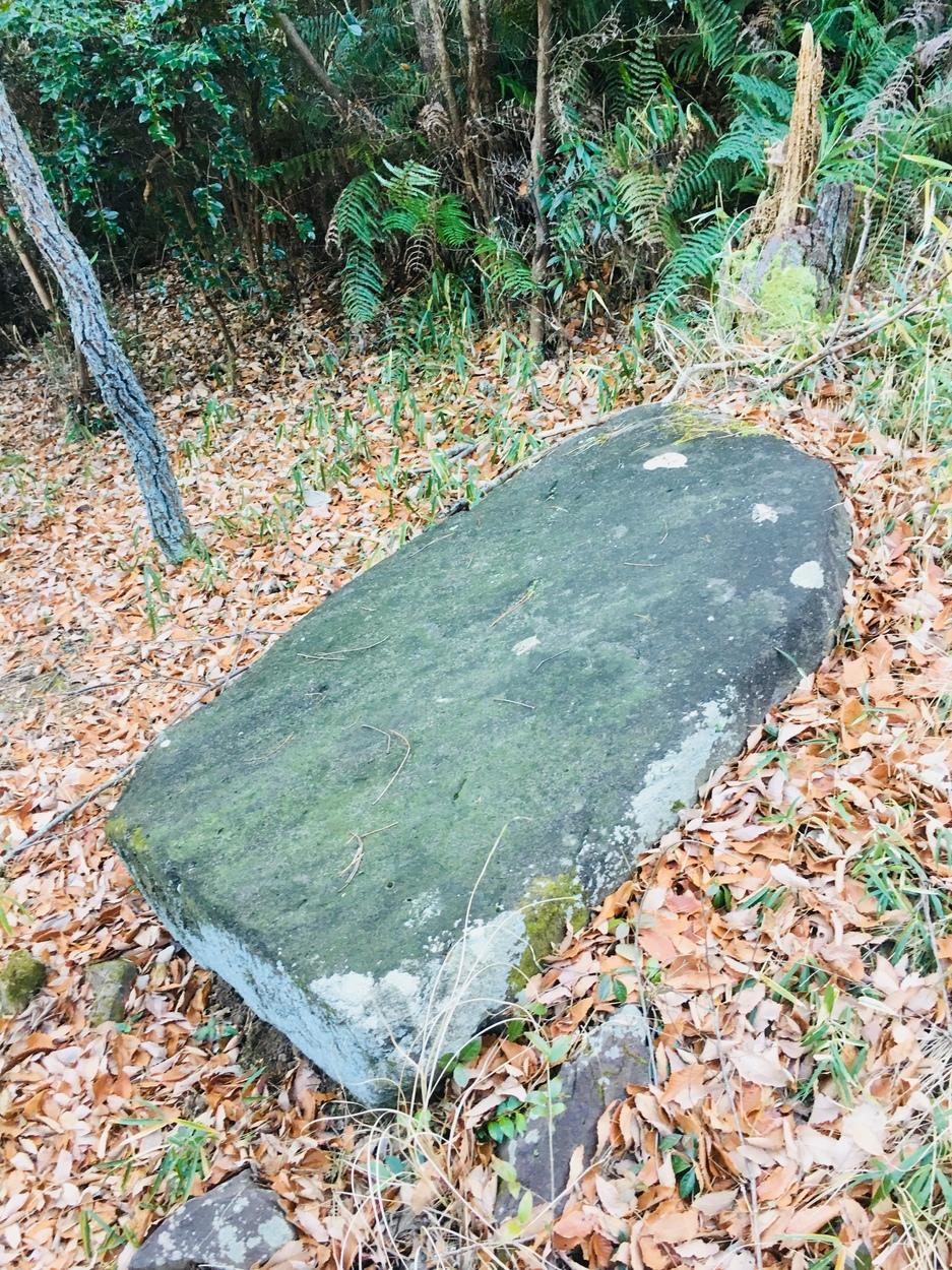 城山