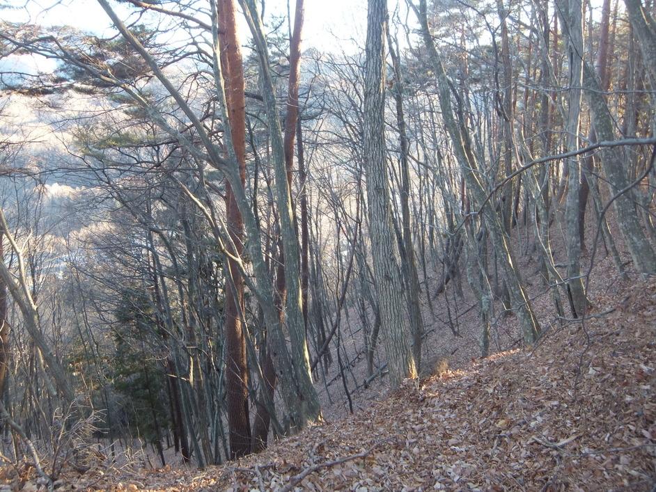 羽根尾城