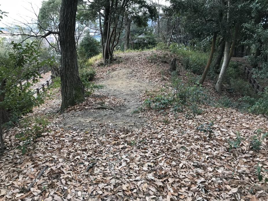 水城