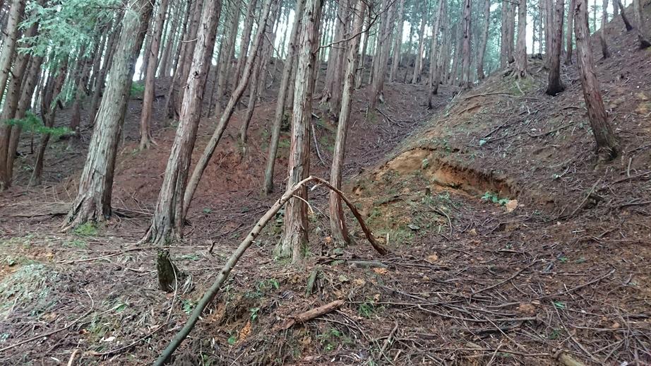 亀ヶ城