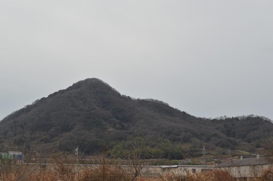 青佐山城