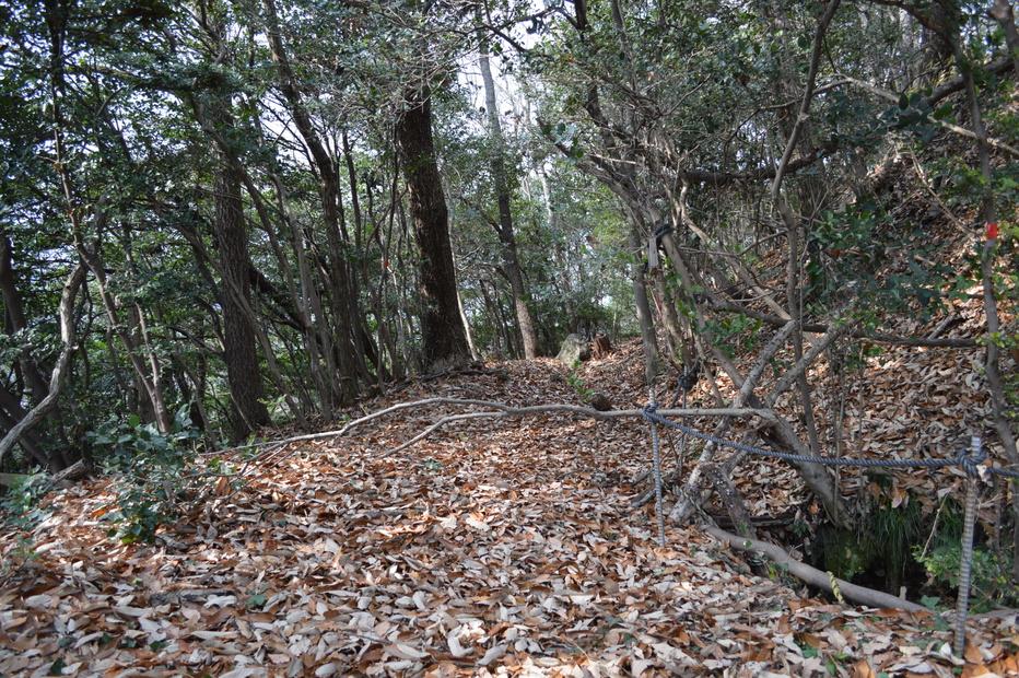 青佐山城