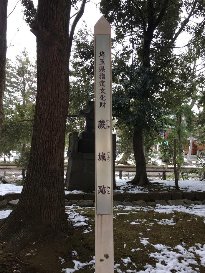 蕨城