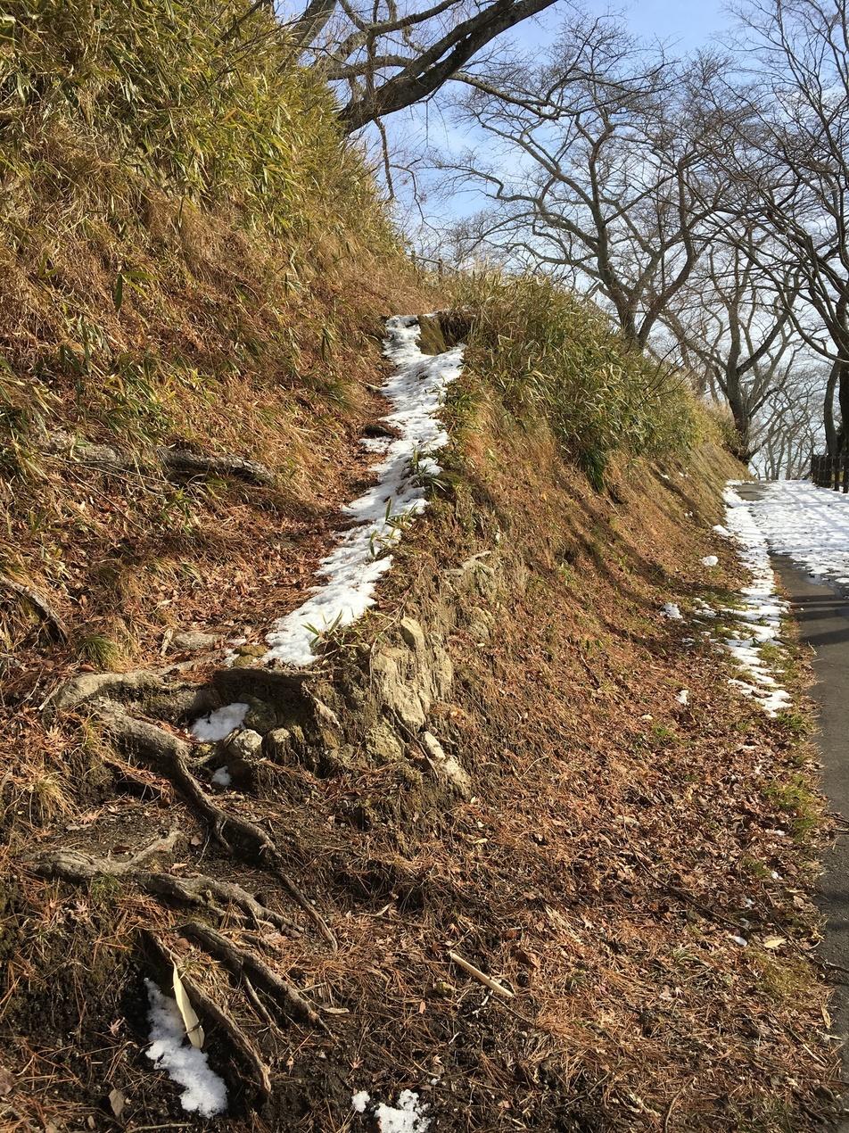 岩切城