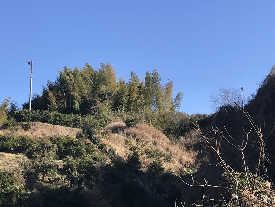 庵原山城