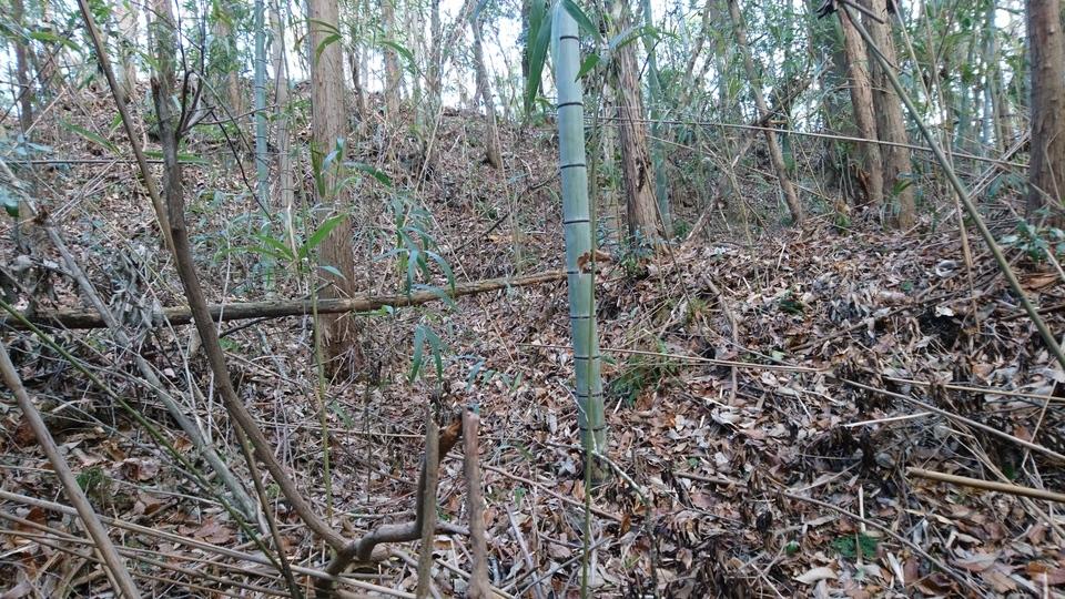 藍岡山城