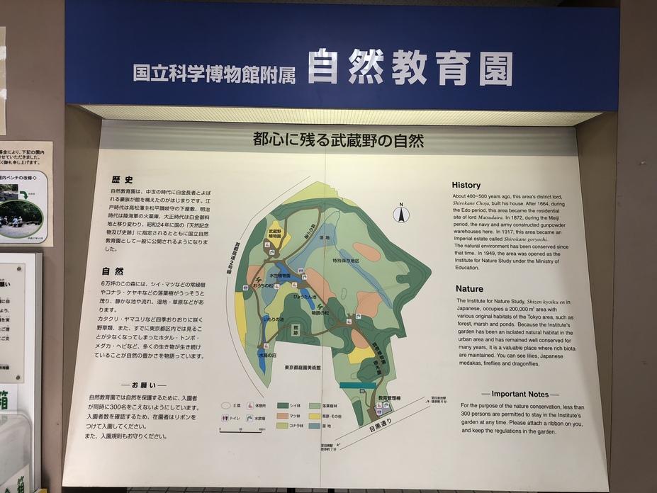 白金館