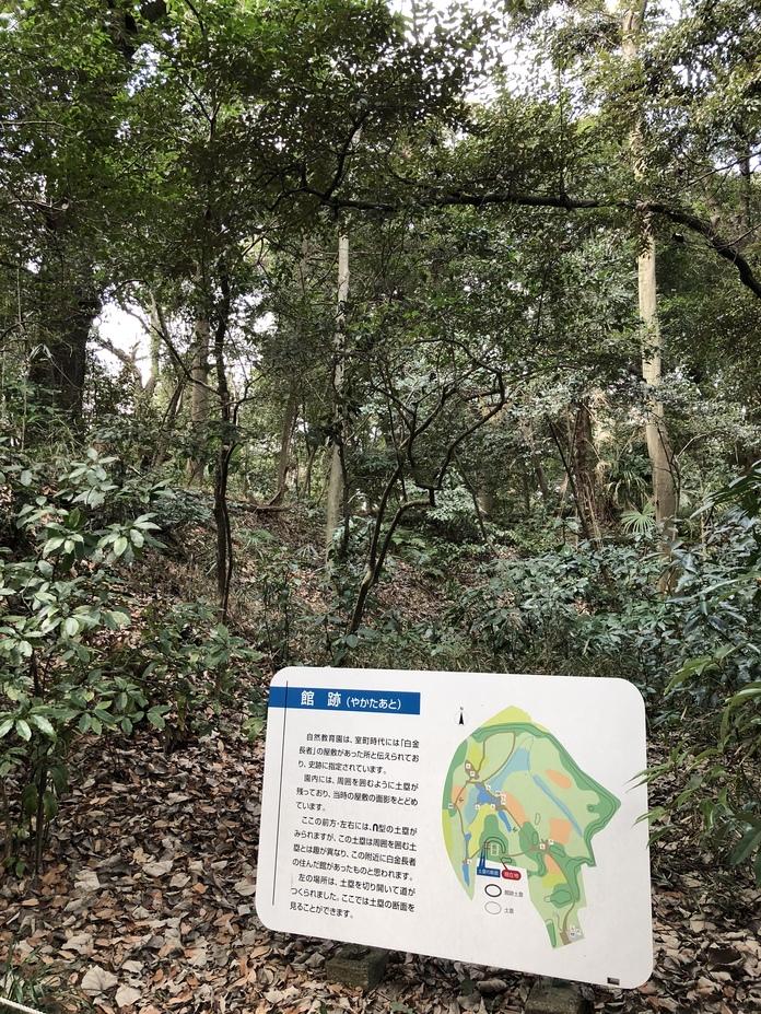 白金館