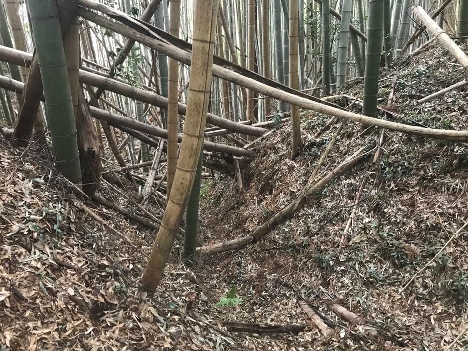 桜井城