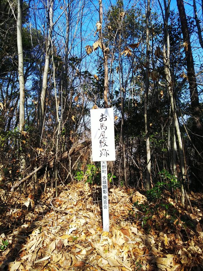 矢野城