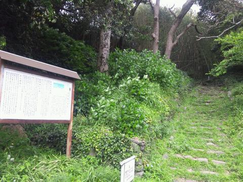 堂崎城
